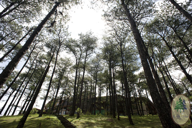 BCDA takes over Camp John Hay, says businesses to continue